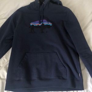 Patagonia Hoody